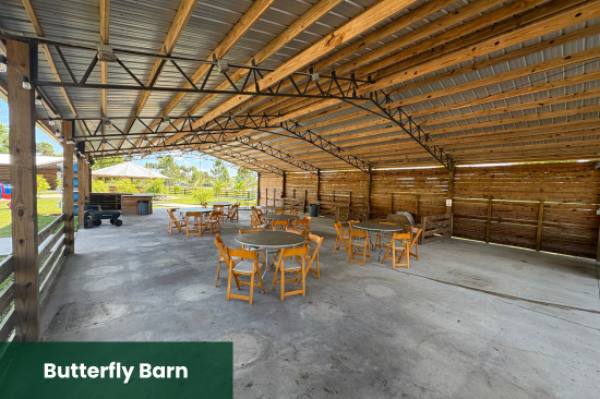 Butterfly Barn