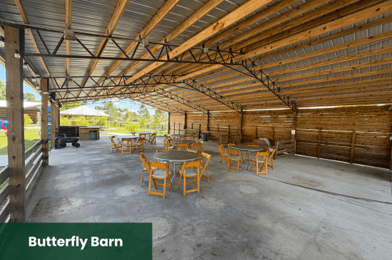 Butterfly Barn