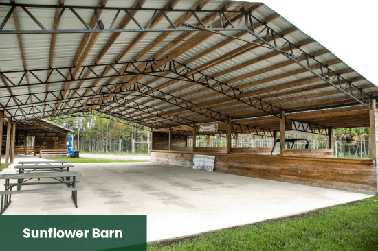 Sunflower Barn