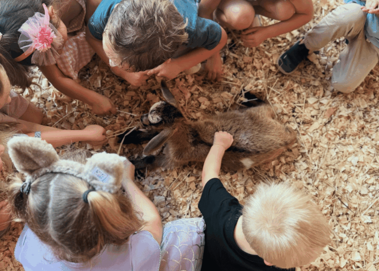 Children gathered around a baby goat during Farm Explorer Wednesdays