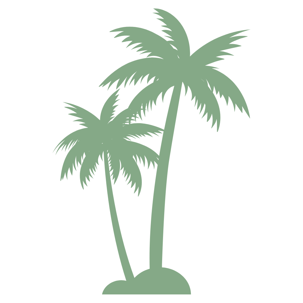 Palm trees representing tropical Florida wedding spaces at Hobe Sound Farms